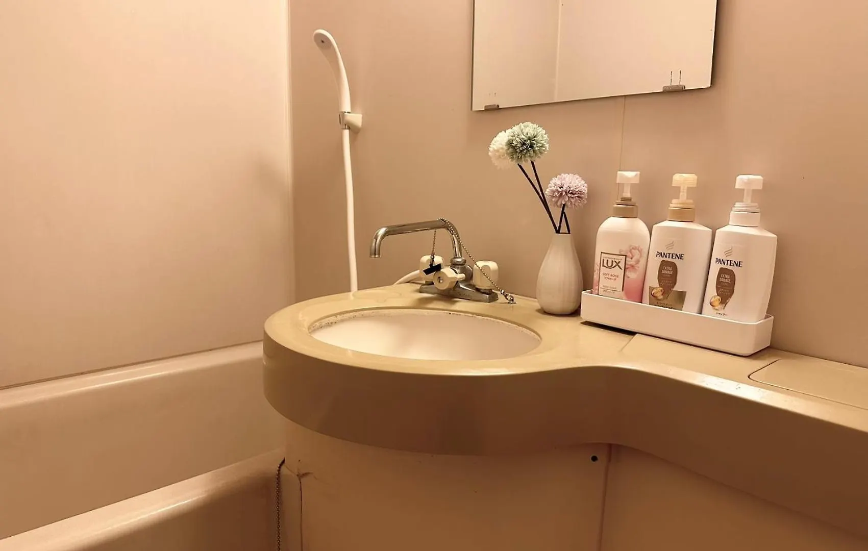 F Mansion 西新宿五丁目 Apartment Tokyo